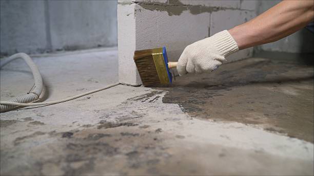 24/7 Emergency Wet Basement Repair experts in Morral, OH
